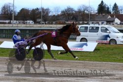 Dateiname=20251120_r02_090_R02_0201.jpg
Dateigröße=296KB
Abmessungen: 1000x667
hinzugefügt am: 20. November 2025 20251120_r02_090_R02_0201.jpg