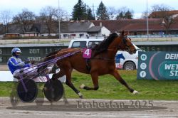 Dateiname=20251120_r02_091_R02_0203.jpg
Dateigröße=302KB
Abmessungen: 1000x667
hinzugefügt am: 20. November 2025 20251120_r02_091_R02_0203.jpg