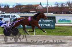 Dateiname=20251120_r02_092_R02_0205.jpg
Dateigröße=297KB
Abmessungen: 1000x667
hinzugefügt am: 20. November 2025 20251120_r02_092_R02_0205.jpg