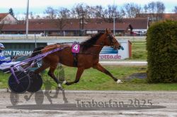 Dateiname=20251120_r02_093_R02_0207.jpg
Dateigröße=310KB
Abmessungen: 1000x667
hinzugefügt am: 20. November 2025 20251120_r02_093_R02_0207.jpg