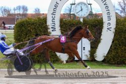 Dateiname=20251120_r02_095_R02_0210.jpg
Dateigröße=318KB
Abmessungen: 1000x667
hinzugefügt am: 20. November 2025 20251120_r02_095_R02_0210.jpg