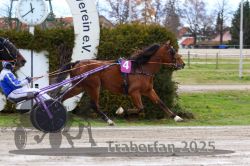 Dateiname=20251120_r02_096_R02_0212.jpg
Dateigröße=331KB
Abmessungen: 1000x667
hinzugefügt am: 20. November 2025 20251120_r02_096_R02_0212.jpg