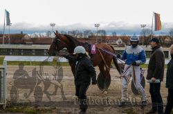 Dateiname=20251120_r02_097_E7D_0037.jpg
Dateigröße=271KB
Abmessungen: 1000x667
hinzugefügt am: 20. November 2025 20251120_r02_097_E7D_0037.jpg