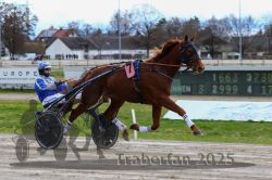 Dateiname=20251120_r03_022_R03_0078.jpg
Dateigröße=299KB
Abmessungen: 1000x667
hinzugefügt am: 21. November 2025 20251120_r03_022_R03_0078.jpg