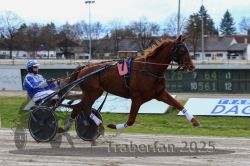 Dateiname=20251120_r03_023_R03_0080.jpg
Dateigröße=292KB
Abmessungen: 1000x667
hinzugefügt am: 21. November 2025 20251120_r03_023_R03_0080.jpg