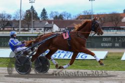 Dateiname=20251120_r03_024_R03_0082.jpg
Dateigröße=293KB
Abmessungen: 1000x667
hinzugefügt am: 21. November 2025 20251120_r03_024_R03_0082.jpg