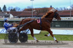 Dateiname=20251120_r03_025_R03_0083.jpg
Dateigröße=279KB
Abmessungen: 1000x667
hinzugefügt am: 21. November 2025 20251120_r03_025_R03_0083.jpg