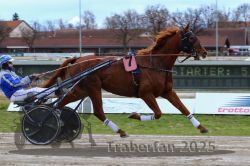 Dateiname=20251120_r03_026_R03_0085.jpg
Dateigröße=297KB
Abmessungen: 1000x667
hinzugefügt am: 21. November 2025 20251120_r03_026_R03_0085.jpg