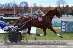 Dateiname=20251120_r03_027_R03_0087.jpg
Dateigröße=299KB
Abmessungen: 1000x667
hinzugefügt am: 21. November 2025 20251120_r03_027_R03_0087.jpg