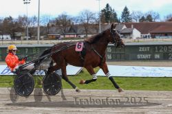 Dateiname=20251120_r03_029_R03_0091.jpg
Dateigröße=294KB
Abmessungen: 1000x667
hinzugefügt am: 21. November 2025 20251120_r03_029_R03_0091.jpg