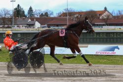 Dateiname=20251120_r03_030_R03_0093.jpg
Dateigröße=297KB
Abmessungen: 1000x667
hinzugefügt am: 21. November 2025 20251120_r03_030_R03_0093.jpg