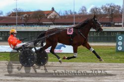 Dateiname=20251120_r03_031_R03_0095.jpg
Dateigröße=292KB
Abmessungen: 1000x667
hinzugefügt am: 21. November 2025 20251120_r03_031_R03_0095.jpg