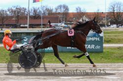 Dateiname=20251120_r03_033_R03_0098.jpg
Dateigröße=304KB
Abmessungen: 1000x667
hinzugefügt am: 21. November 2025 20251120_r03_033_R03_0098.jpg