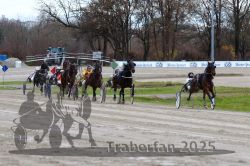 Dateiname=20251120_r03_041_R03_0115.jpg
Dateigröße=356KB
Abmessungen: 1000x667
hinzugefügt am: 21. November 2025 20251120_r03_041_R03_0115.jpg