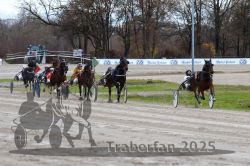 Dateiname=20251120_r03_042_R03_0117.jpg
Dateigröße=350KB
Abmessungen: 1000x667
hinzugefügt am: 21. November 2025 20251120_r03_042_R03_0117.jpg