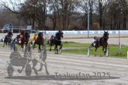 Dateiname=20251120_r03_043_R03_0119.jpg
Dateigröße=354KB
Abmessungen: 1000x667
hinzugefügt am: 21. November 2025 20251120_r03_043_R03_0119.jpg