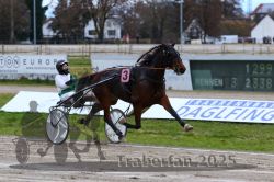 Dateiname=20251120_r03_048_R03_0129.jpg
Dateigröße=282KB
Abmessungen: 1000x667
hinzugefügt am: 21. November 2025 20251120_r03_048_R03_0129.jpg