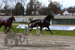 Dateiname=20251120_r03_049_R03_0131.jpg
Dateigröße=342KB
Abmessungen: 1000x667
hinzugefügt am: 21. November 2025 20251120_r03_049_R03_0131.jpg