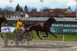 Dateiname=20251120_r03_053_R03_0139.jpg
Dateigröße=285KB
Abmessungen: 1000x667
hinzugefügt am: 21. November 2025 20251120_r03_053_R03_0139.jpg