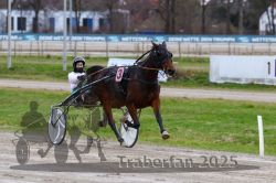 Dateiname=20251120_r03_056_R03_0150.jpg
Dateigröße=271KB
Abmessungen: 1000x667
hinzugefügt am: 21. November 2025 20251120_r03_056_R03_0150.jpg