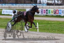 Dateiname=20251120_r03_057_R03_0152.jpg
Dateigröße=280KB
Abmessungen: 1000x667
hinzugefügt am: 21. November 2025 20251120_r03_057_R03_0152.jpg