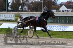 Dateiname=20251120_r03_061_R03_0162.jpg
Dateigröße=297KB
Abmessungen: 1000x667
hinzugefügt am: 21. November 2025 20251120_r03_061_R03_0162.jpg