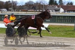 Dateiname=20251120_r03_063_R03_0168.jpg
Dateigröße=308KB
Abmessungen: 1000x667
hinzugefügt am: 21. November 2025 20251120_r03_063_R03_0168.jpg