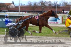 Dateiname=20251120_r03_064_R03_0172.jpg
Dateigröße=312KB
Abmessungen: 1000x667
hinzugefügt am: 21. November 2025 20251120_r03_064_R03_0172.jpg