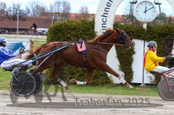 Dateiname=20251120_r03_065_R03_0174.jpg
Dateigröße=335KB
Abmessungen: 1000x667
hinzugefügt am: 21. November 2025 20251120_r03_065_R03_0174.jpg