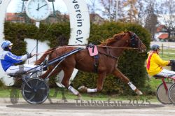 Dateiname=20251120_r03_066_R03_0176.jpg
Dateigröße=340KB
Abmessungen: 1000x667
hinzugefügt am: 21. November 2025 20251120_r03_066_R03_0176.jpg