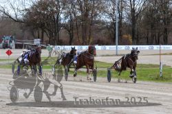 Dateiname=20251120_r03_069_R03_0184.jpg
Dateigröße=362KB
Abmessungen: 1000x667
hinzugefügt am: 21. November 2025 20251120_r03_069_R03_0184.jpg