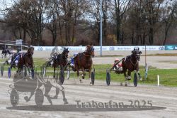 Dateiname=20251120_r03_070_R03_0186.jpg
Dateigröße=360KB
Abmessungen: 1000x667
hinzugefügt am: 21. November 2025 20251120_r03_070_R03_0186.jpg