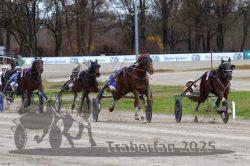 Dateiname=20251120_r03_071_R03_0188.jpg
Dateigröße=334KB
Abmessungen: 1000x667
hinzugefügt am: 21. November 2025 20251120_r03_071_R03_0188.jpg