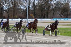 Dateiname=20251120_r03_072_R03_0190.jpg
Dateigröße=324KB
Abmessungen: 1000x667
hinzugefügt am: 21. November 2025 20251120_r03_072_R03_0190.jpg