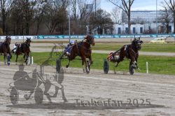 Dateiname=20251120_r03_074_R03_0194.jpg
Dateigröße=341KB
Abmessungen: 1000x667
hinzugefügt am: 21. November 2025 20251120_r03_074_R03_0194.jpg