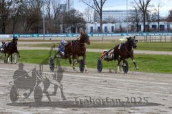 Dateiname=20251120_r03_075_R03_0196.jpg
Dateigröße=337KB
Abmessungen: 1000x667
hinzugefügt am: 21. November 2025 20251120_r03_075_R03_0196.jpg