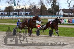 Dateiname=20251120_r03_077_R03_0201.jpg
Dateigröße=337KB
Abmessungen: 1000x667
hinzugefügt am: 21. November 2025 20251120_r03_077_R03_0201.jpg