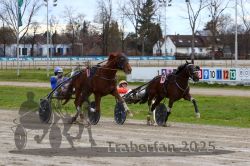 Dateiname=20251120_r03_078_R03_0202.jpg
Dateigröße=347KB
Abmessungen: 1000x667
hinzugefügt am: 21. November 2025 20251120_r03_078_R03_0202.jpg