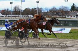 Dateiname=20251120_r03_081_R03_0208.jpg
Dateigröße=310KB
Abmessungen: 1000x667
hinzugefügt am: 21. November 2025 20251120_r03_081_R03_0208.jpg