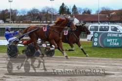 Dateiname=20251120_r03_082_R03_0210.jpg
Dateigröße=322KB
Abmessungen: 1000x667
hinzugefügt am: 21. November 2025 20251120_r03_082_R03_0210.jpg