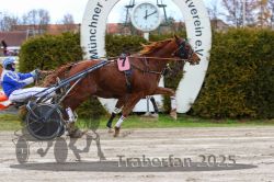 Dateiname=20251120_r03_087_R03_0217.jpg
Dateigröße=339KB
Abmessungen: 1000x667
hinzugefügt am: 21. November 2025 20251120_r03_087_R03_0217.jpg