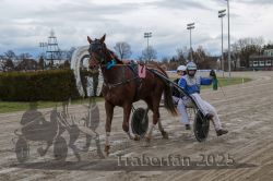 Dateiname=20251120_r03_097_E7D_0092.jpg
Dateigröße=284KB
Abmessungen: 1000x667
hinzugefügt am: 21. November 2025 20251120_r03_097_E7D_0092.jpg