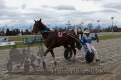 Dateiname=20251120_r03_098_E7D_0094.jpg
Dateigröße=262KB
Abmessungen: 1000x667
hinzugefügt am: 21. November 2025 20251120_r03_098_E7D_0094.jpg