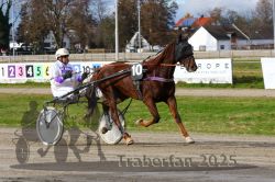 Dateiname=20251120_r04_024_R04_0065.jpg
Dateigröße=357KB
Abmessungen: 1000x667
hinzugefügt am: 21. November 2025 20251120_r04_024_R04_0065.jpg