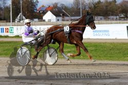 Dateiname=20251120_r04_025_R04_0067.jpg
Dateigröße=347KB
Abmessungen: 1000x667
hinzugefügt am: 21. November 2025 20251120_r04_025_R04_0067.jpg