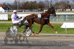 Dateiname=20251120_r04_026_R04_0069.jpg
Dateigröße=331KB
Abmessungen: 1000x667
hinzugefügt am: 21. November 2025 20251120_r04_026_R04_0069.jpg