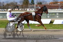 Dateiname=20251120_r04_027_R04_0072.jpg
Dateigröße=337KB
Abmessungen: 1000x667
hinzugefügt am: 21. November 2025 20251120_r04_027_R04_0072.jpg