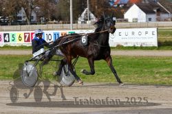 Dateiname=20251120_r04_028_R04_0074.jpg
Dateigröße=339KB
Abmessungen: 1000x667
hinzugefügt am: 21. November 2025 20251120_r04_028_R04_0074.jpg