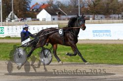 Dateiname=20251120_r04_029_R04_0076.jpg
Dateigröße=330KB
Abmessungen: 1000x667
hinzugefügt am: 21. November 2025 20251120_r04_029_R04_0076.jpg