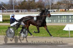 Dateiname=20251120_r04_030_R04_0078.jpg
Dateigröße=327KB
Abmessungen: 1000x667
hinzugefügt am: 21. November 2025 20251120_r04_030_R04_0078.jpg